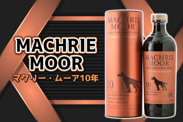 マクリー・ムーア10年の特徴を解説