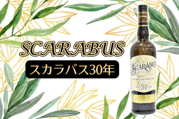 スカラバス30年の特徴を解説