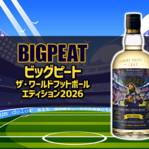 ビッグピート ザ・ワールドフットボール エディション2026の特徴を解説